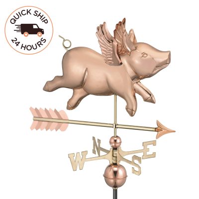 Flying Pig with Arrow Weathervane